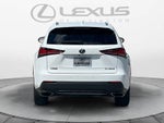 2020 Lexus NX 300 F SPORT