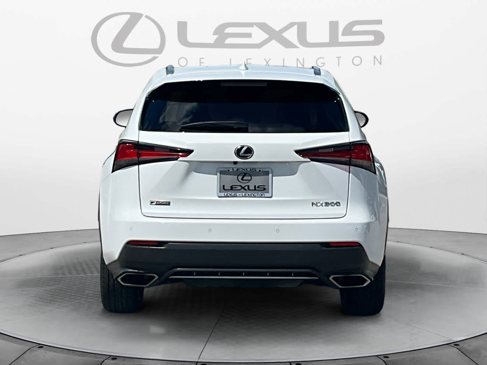 2020 Lexus NX 300 F SPORT