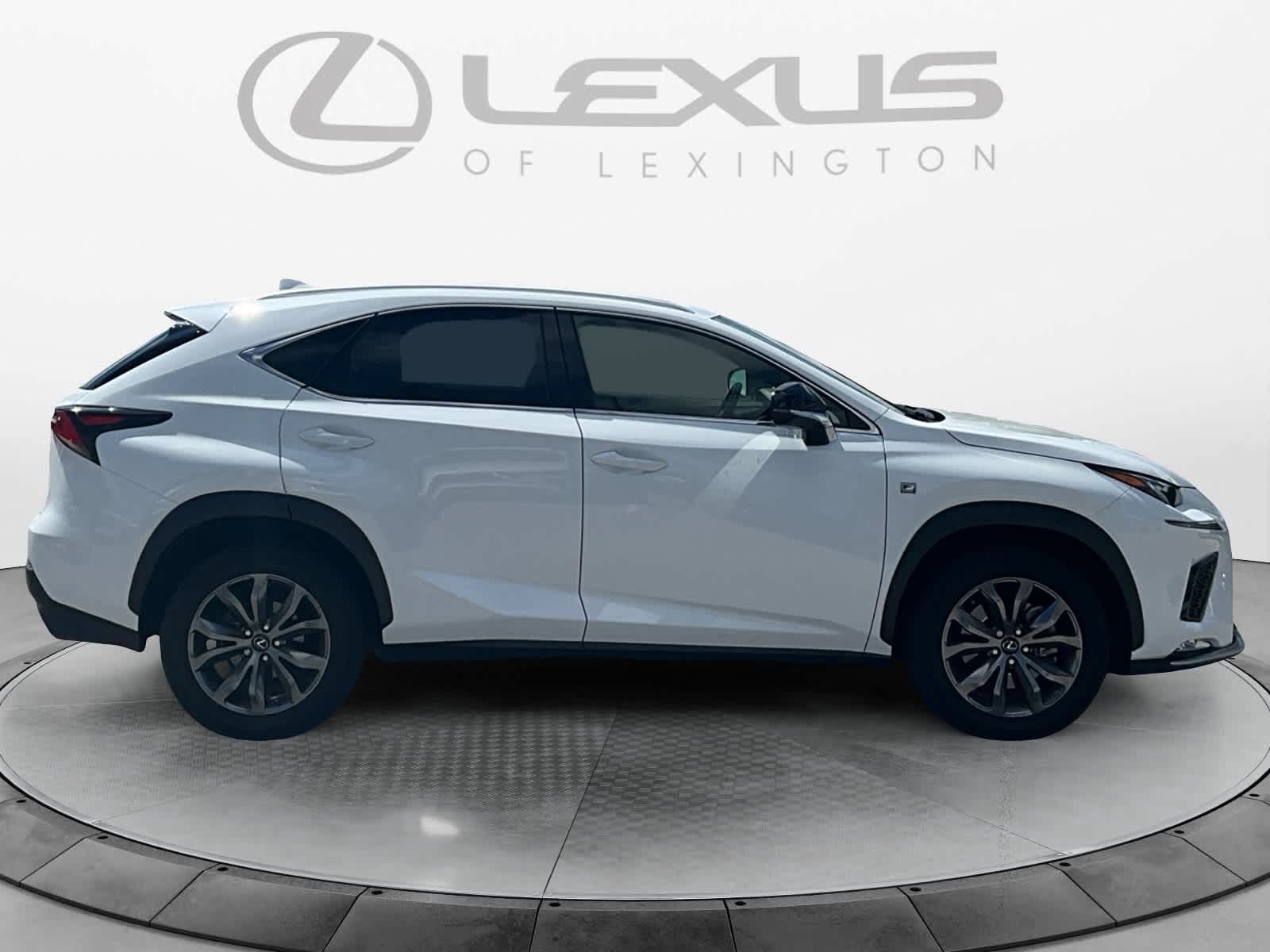 2020 Lexus NX 300 F SPORT