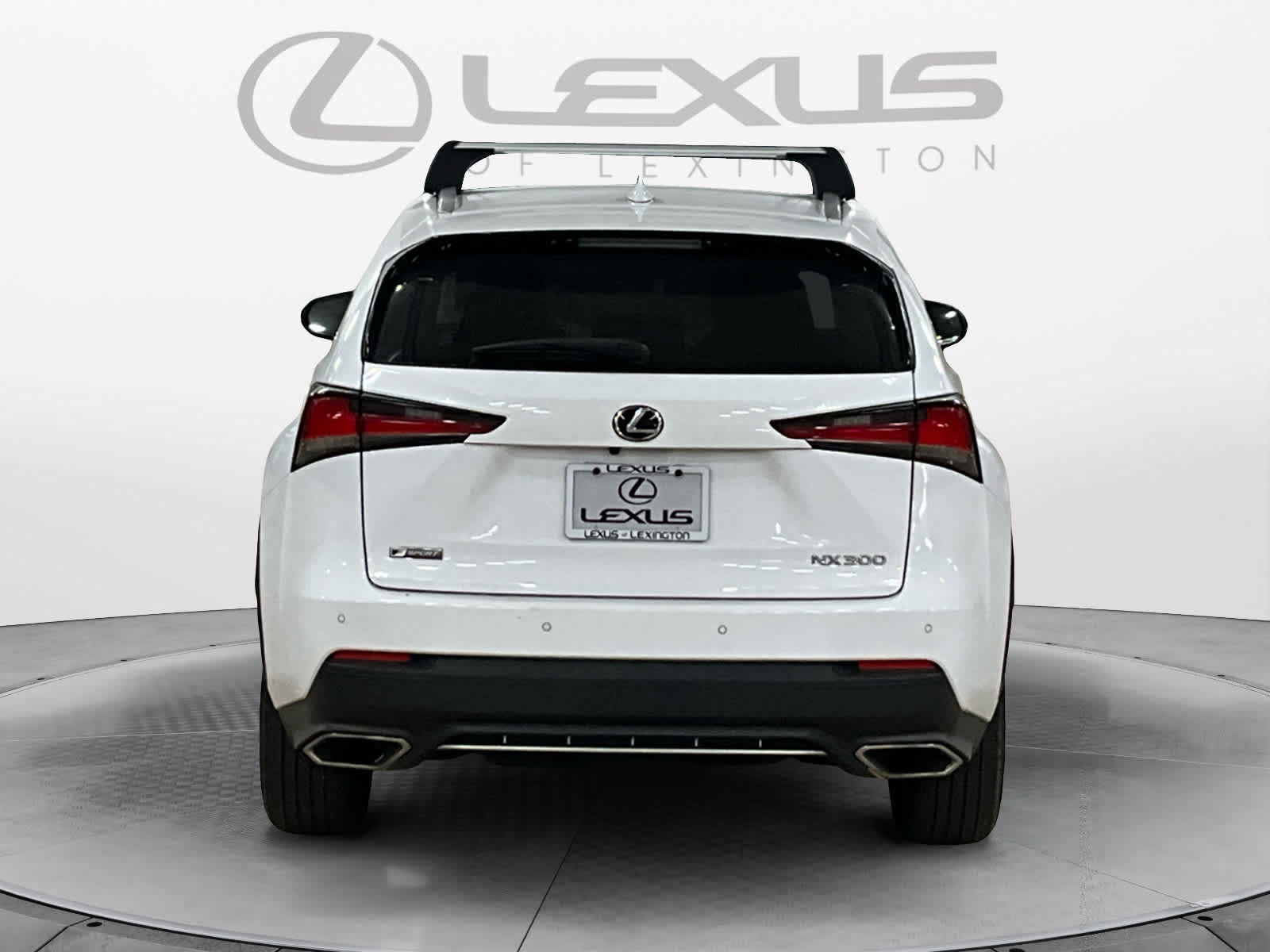 2021 Lexus NX 300 F SPORT