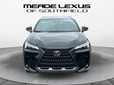 2024 Lexus NX 350 NX 350
