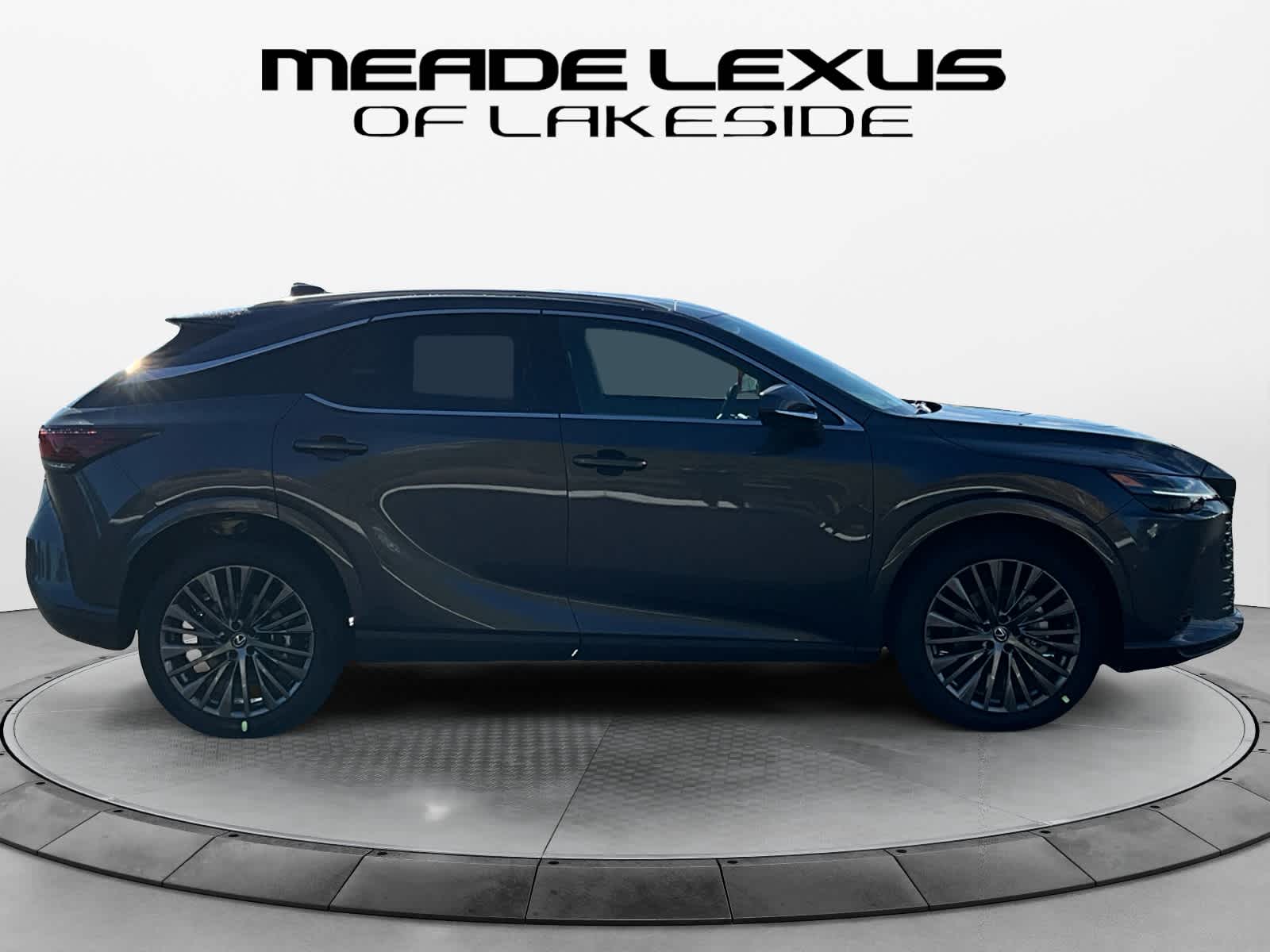 2025 Lexus RX Luxury