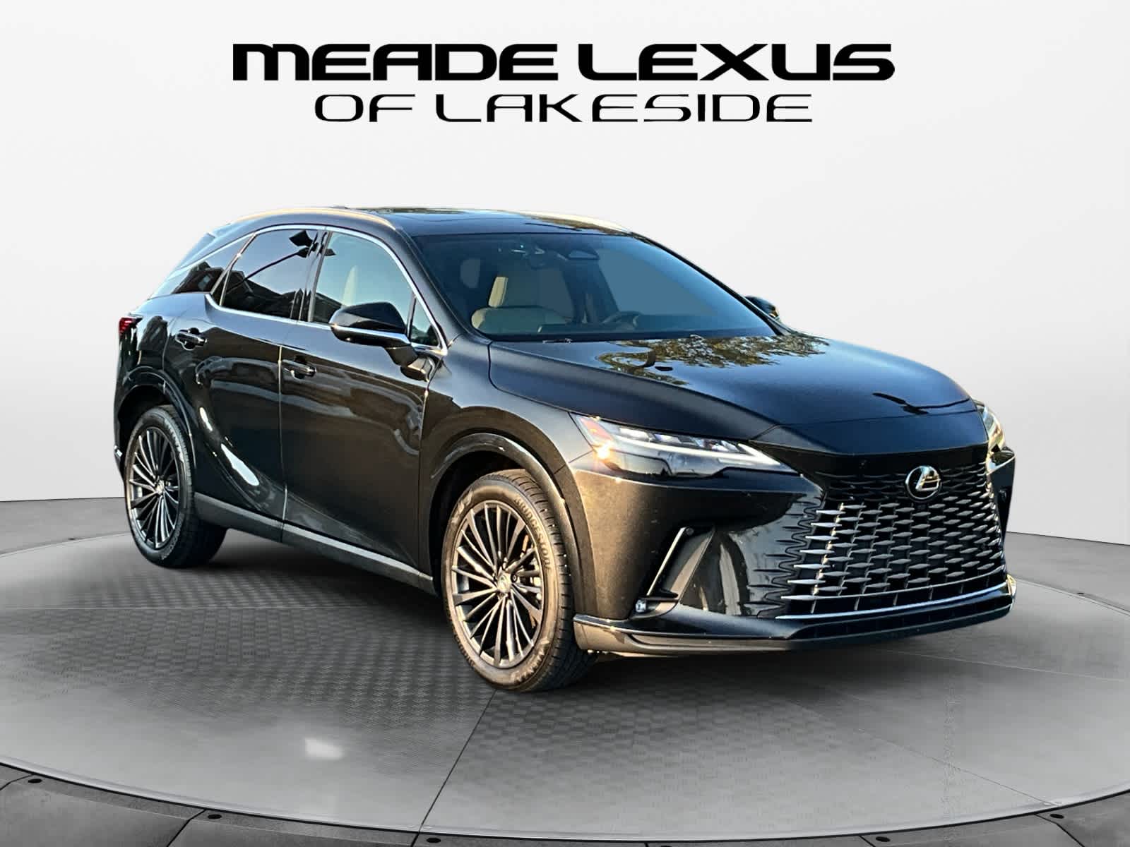 2025 Lexus RX 350 Premium