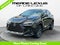 2024 Lexus NX 250 Premium