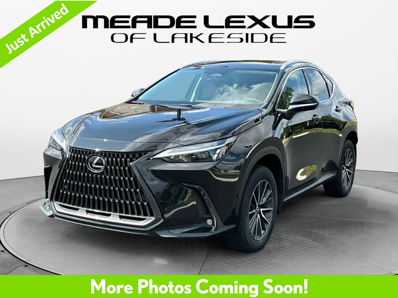 2024 Lexus NX 250 Premium