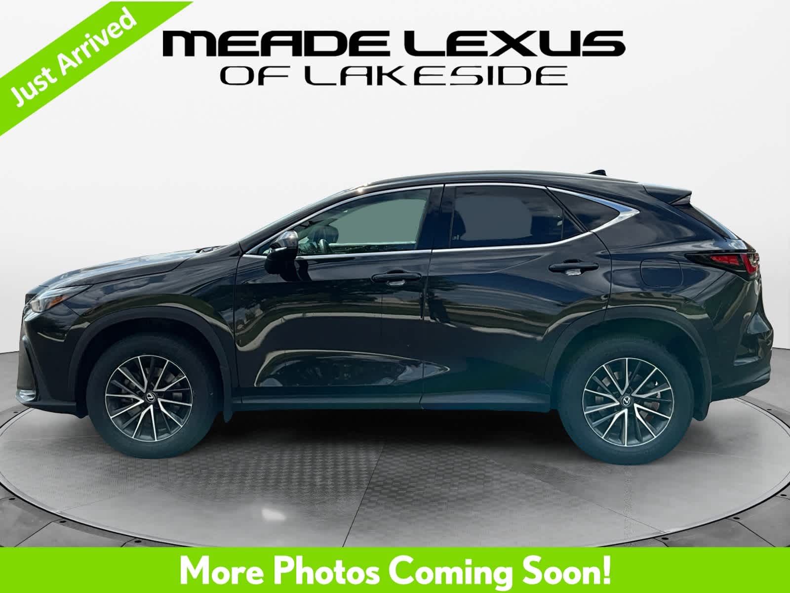 2024 Lexus NX 250 Premium