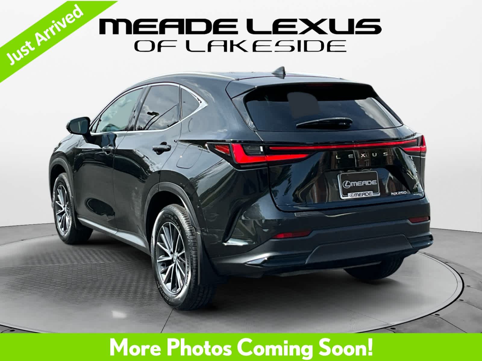 2024 Lexus NX 250 Premium