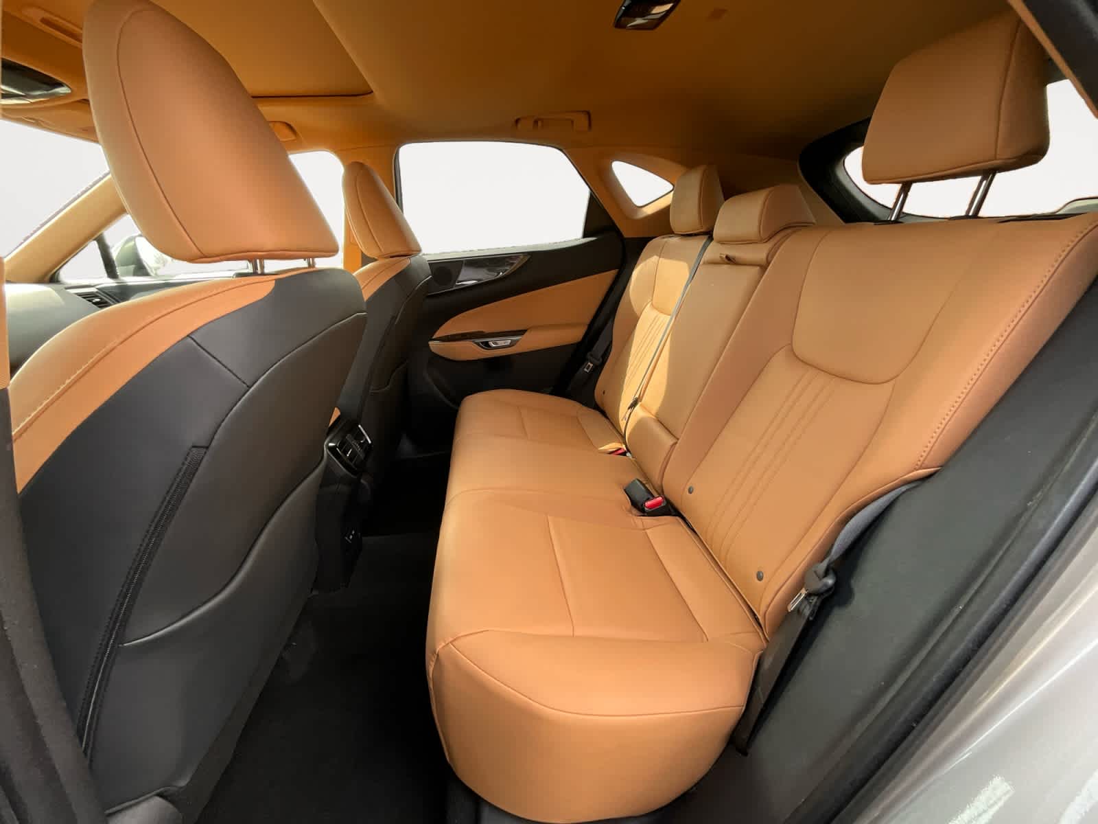 2024 Lexus NX 350 Premium