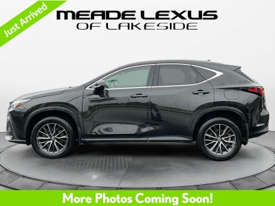 2024 Lexus NX 350 Premium