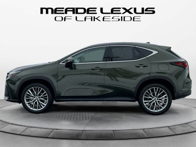 2025 Lexus NX Premium