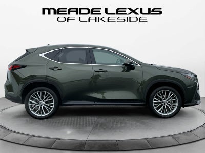2025 Lexus NX Premium