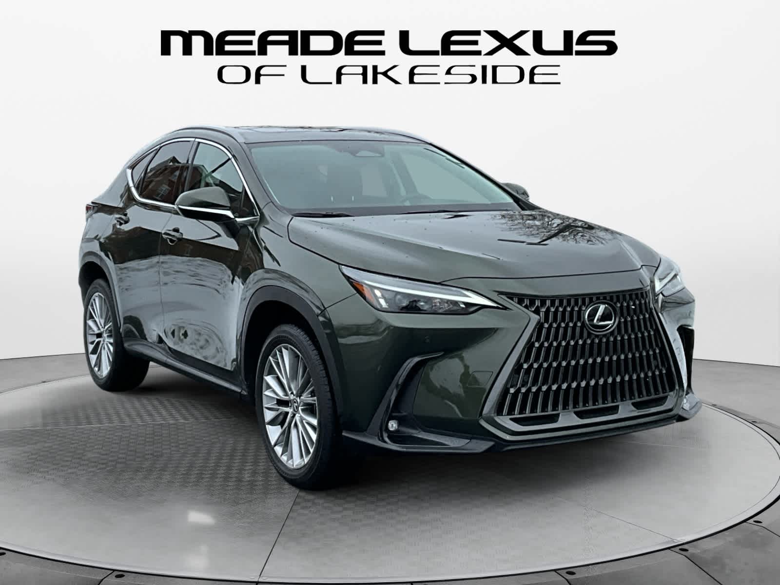 2025 Lexus NX Premium