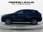2025 Lexus NX 350h Premium