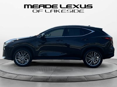 2025 Lexus NX 350h Premium
