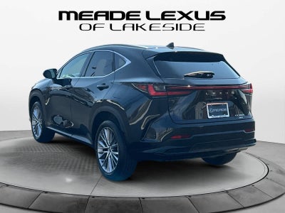 2025 Lexus NX 350h Premium