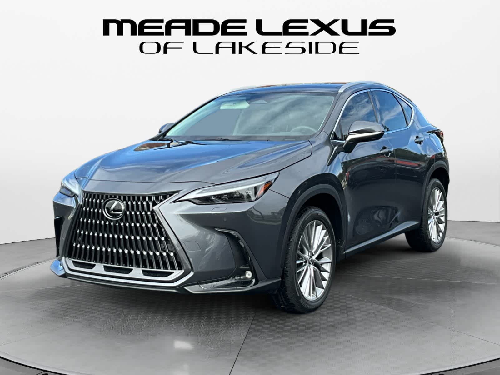 2024 Lexus NX