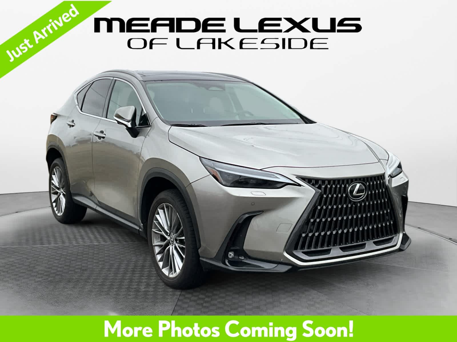2022 Lexus NX 350h Luxury