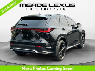 2024 Lexus NX 350 F SPORT Handling