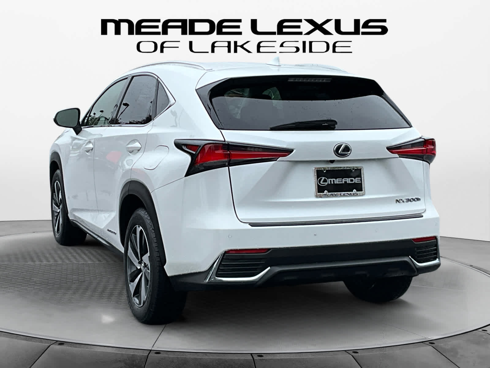 2018 Lexus NX 300h NX 300h