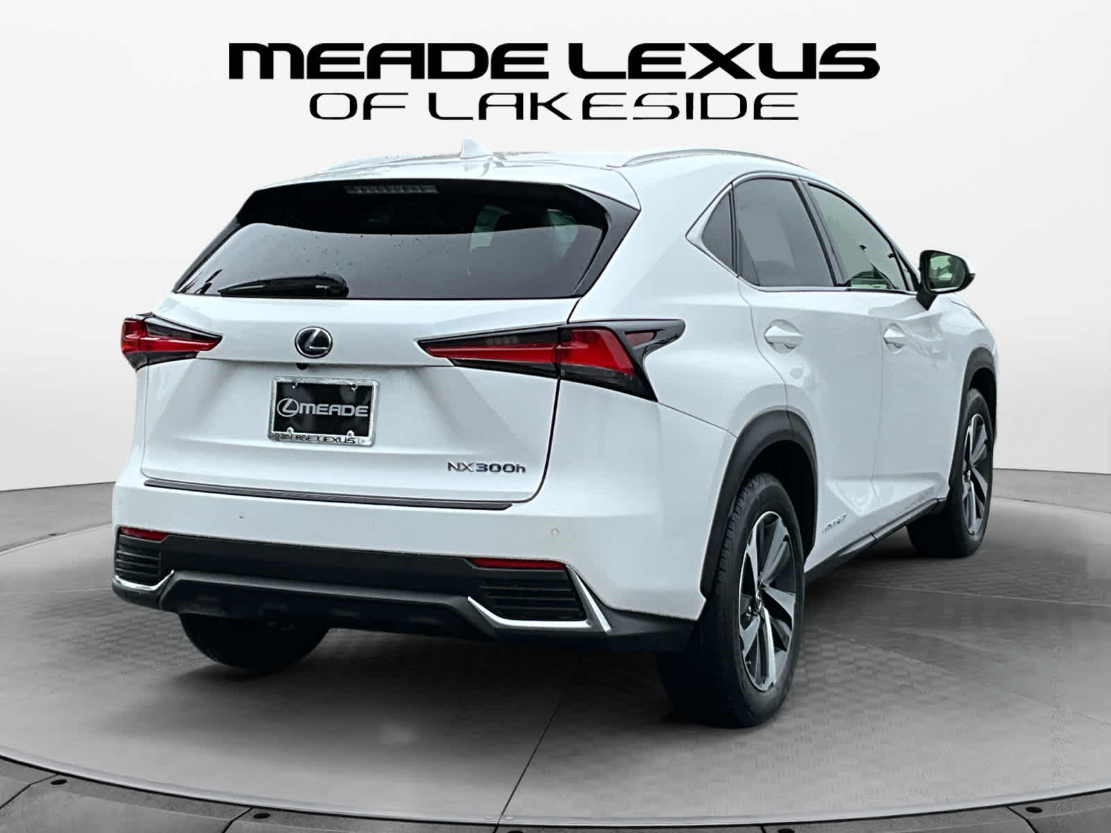 2018 Lexus NX 300h NX 300h