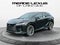2026 Lexus RX Luxury