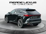 2026 Lexus RX Luxury