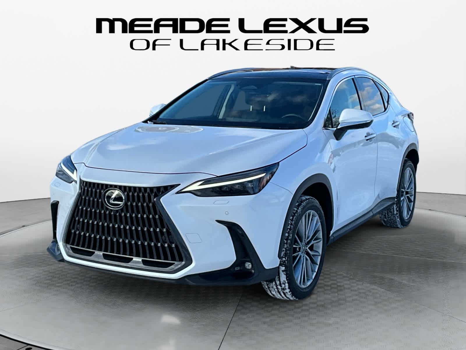 2023 Lexus NX Luxury