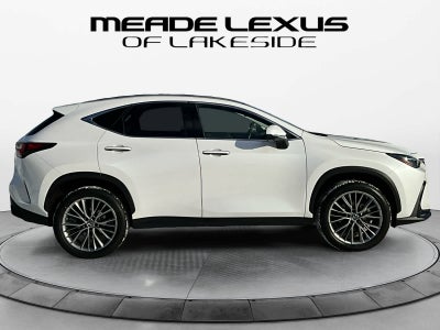 2023 Lexus NX Luxury