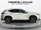 2023 Lexus NX Luxury