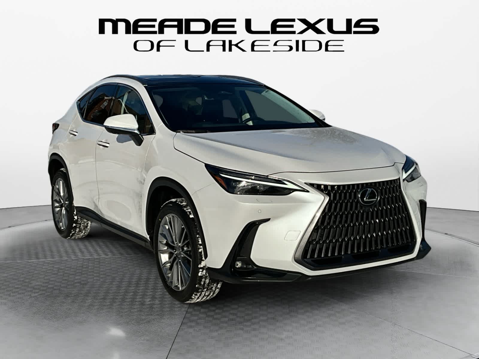 2023 Lexus NX Luxury