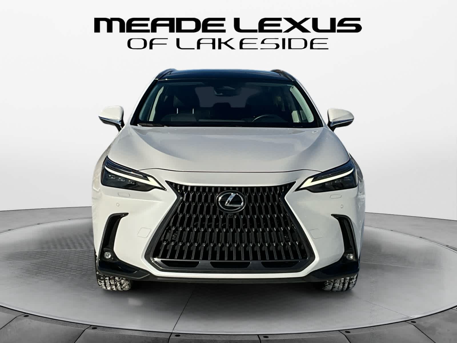 2023 Lexus NX Luxury