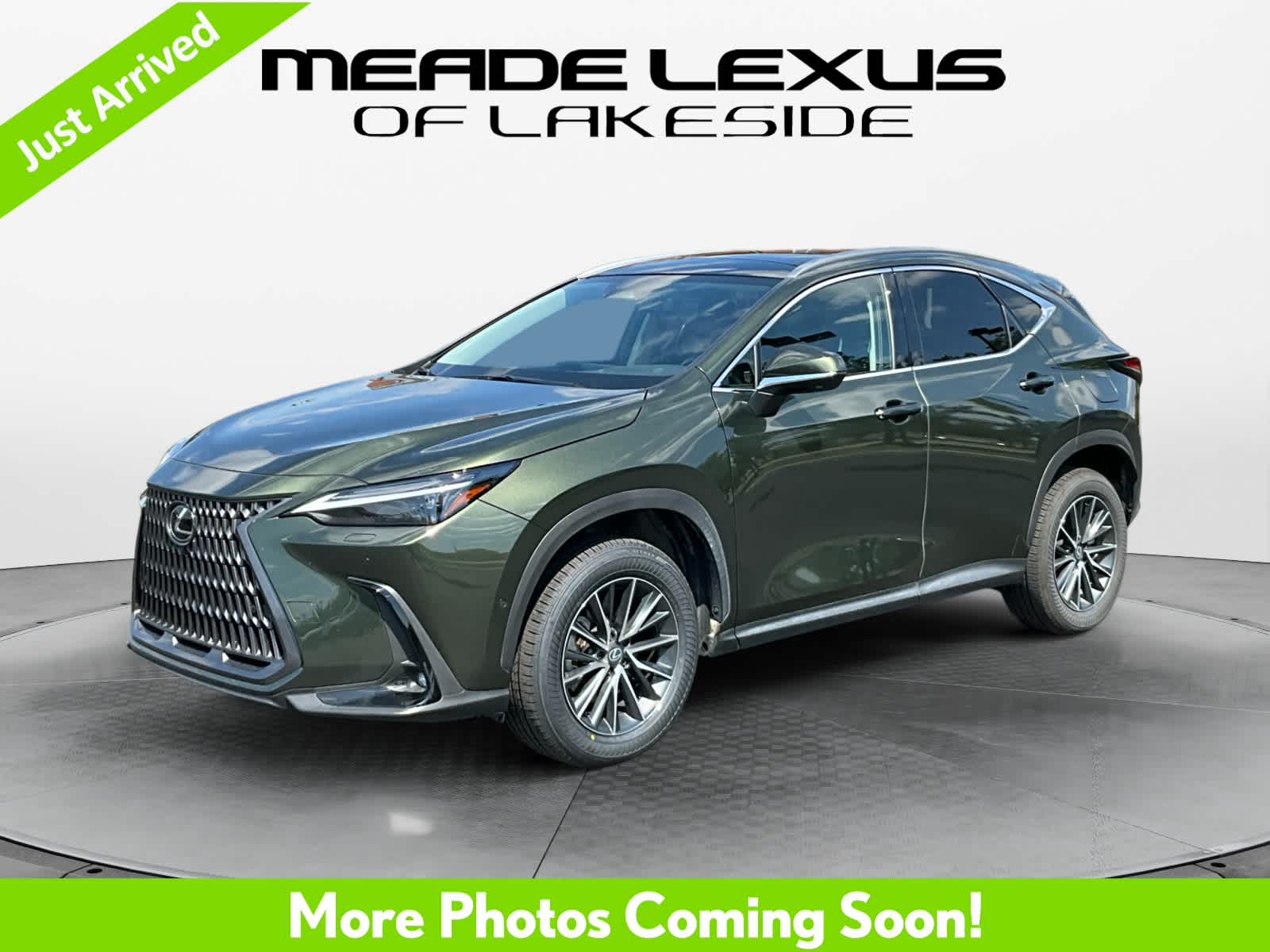 2025 Lexus NX 350h Luxury