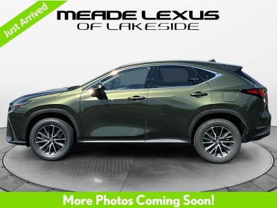 2025 Lexus NX 350h Luxury