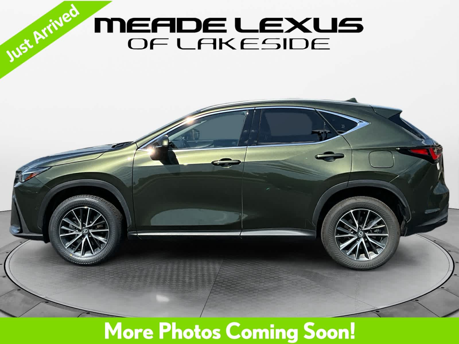 2025 Lexus NX 350h Luxury