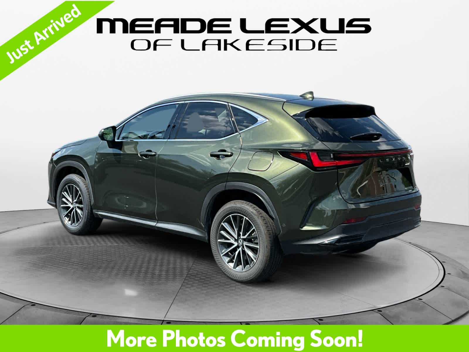 2025 Lexus NX 350h Luxury