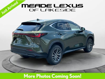 2025 Lexus NX 350h Luxury