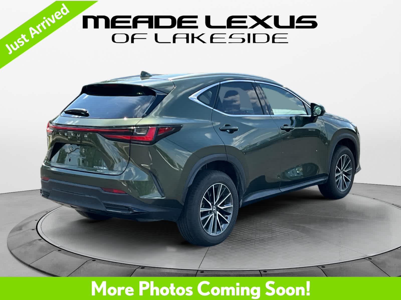 2025 Lexus NX 350h Luxury