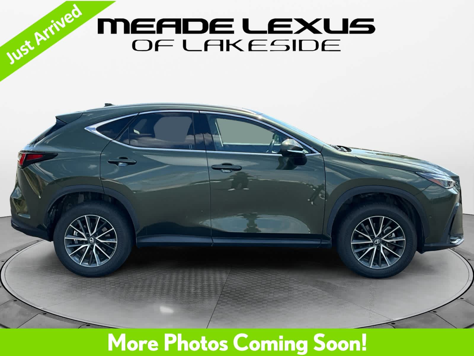 2025 Lexus NX 350h Luxury