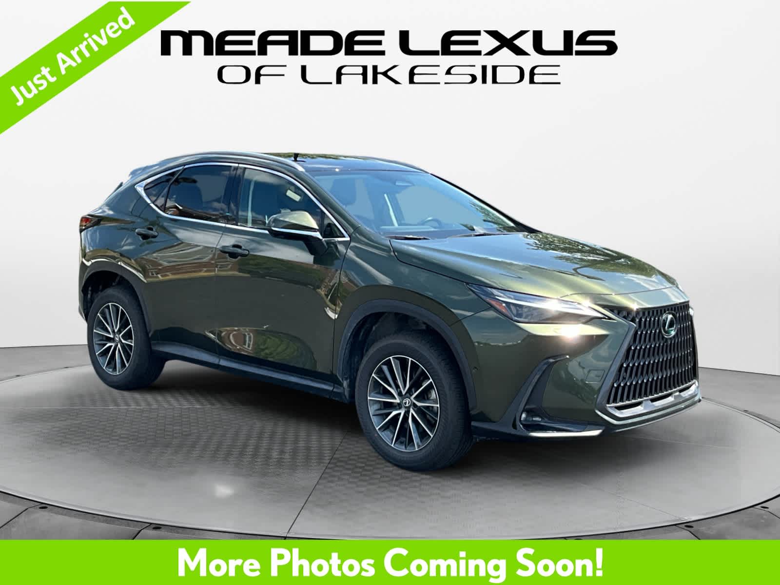 2025 Lexus NX 350h Luxury