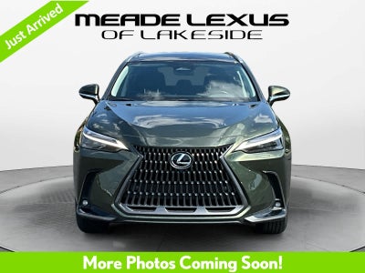 2025 Lexus NX 350h Luxury
