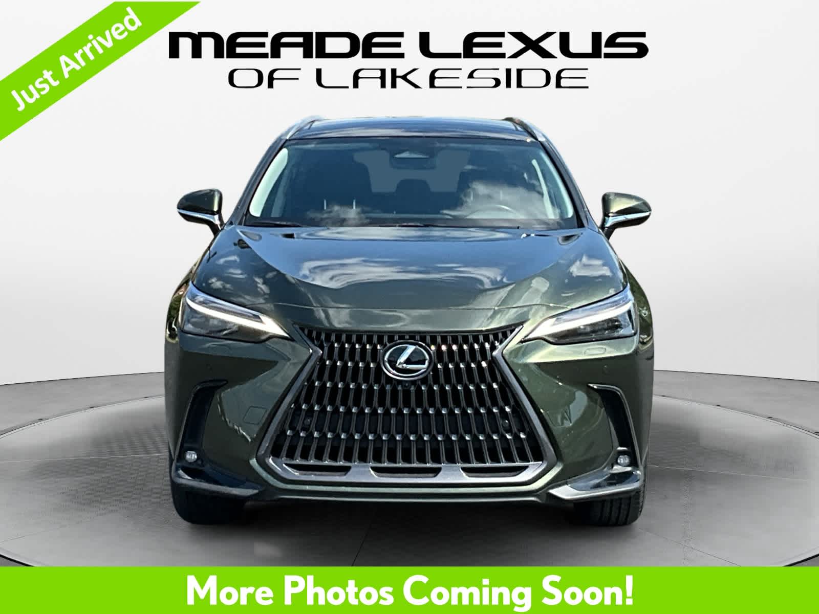 2025 Lexus NX 350h Luxury