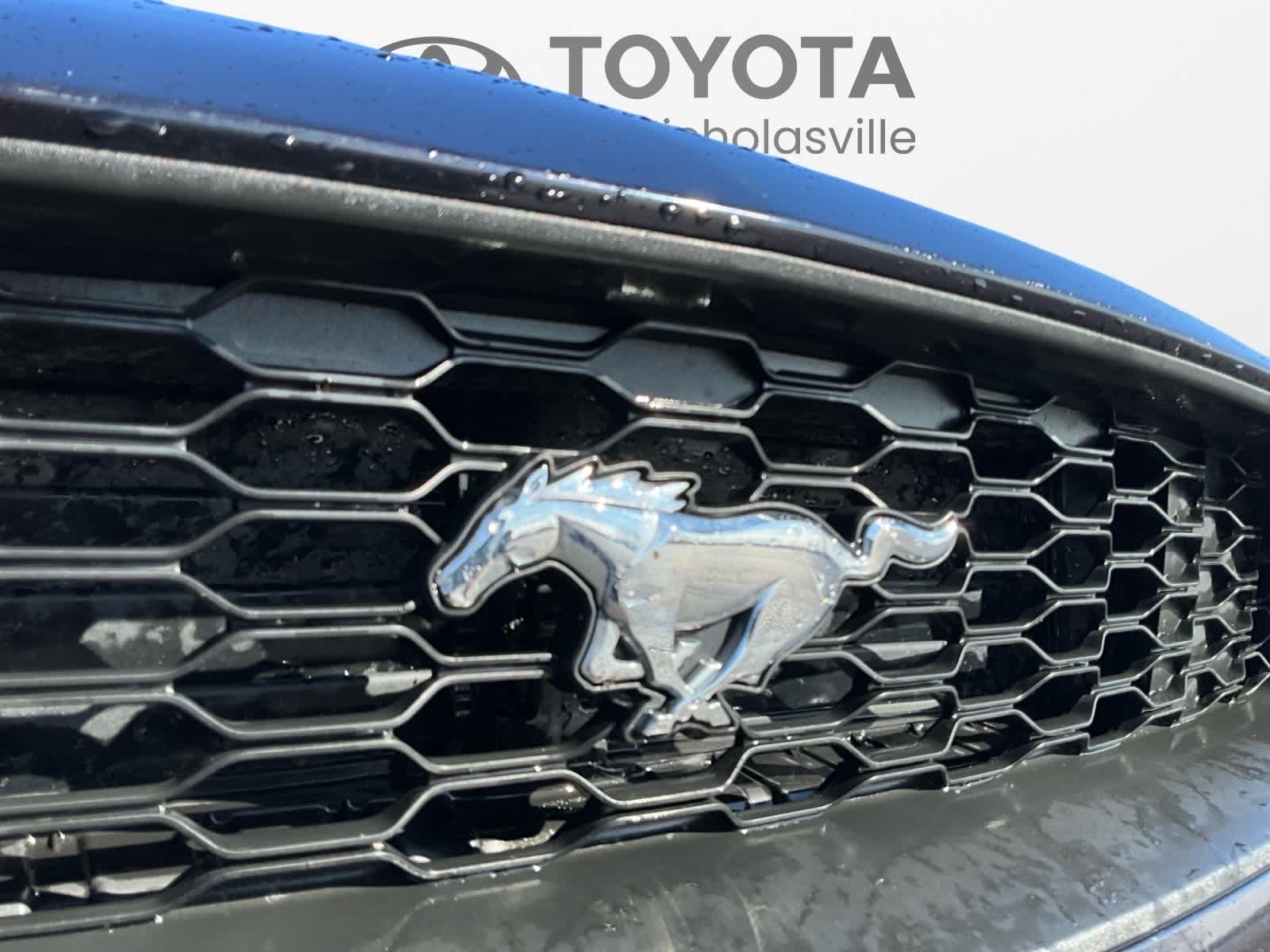 2021 Ford Mustang EcoBoost