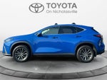 2024 Lexus NX 350 NX 350