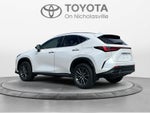 2024 Lexus NX 350 NX 350