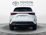 2024 Lexus NX 350 NX 350