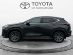 2024 Lexus NX NX 350h