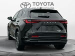 2024 Lexus NX NX 350h