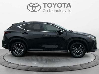 2024 Lexus NX NX 350h