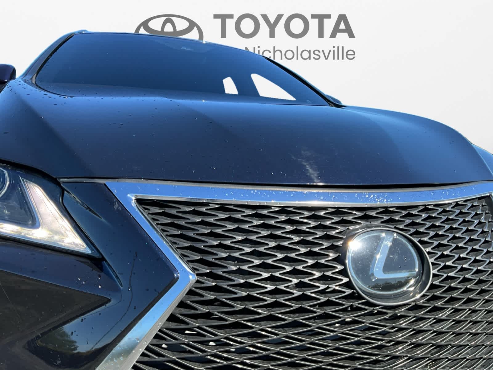2019 Lexus RX 350 F SPORT