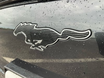 2021 Ford Mustang Mach-E Premium